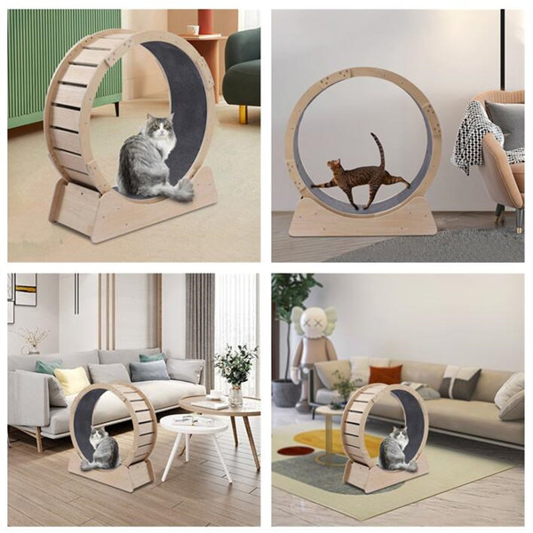 Tucker Murphy Pet™ Cat Exercise Equipment Round Wheel Runway Cat Perch